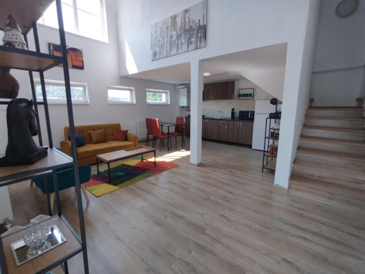Apartament Alyosha Sighişoara Exterior foto